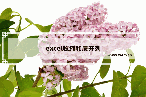 excel收缩和展开列