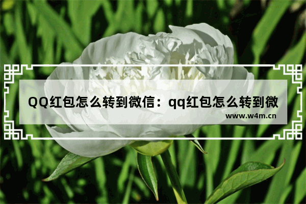 QQ红包怎么转到微信：qq红包怎么转到微信支付