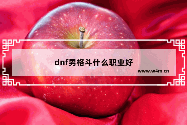 dnf男格斗什么职业好