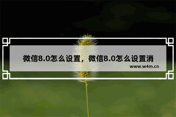 微信8.0怎么设置，微信8.0怎么设置消息免打扰