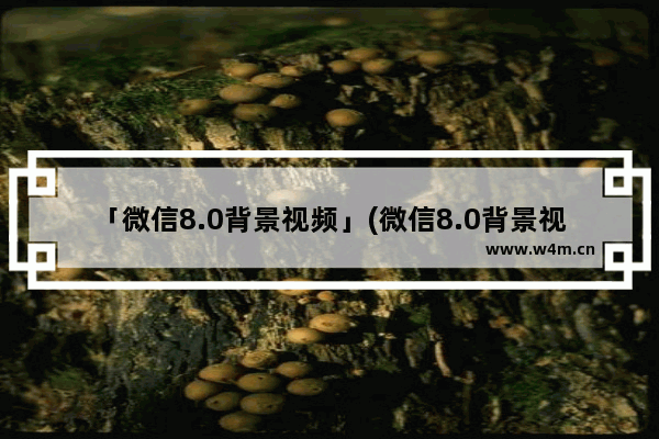 「微信8.0背景视频」(微信8.0背景视频素材)