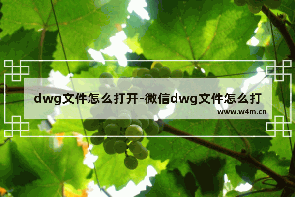 dwg文件怎么打开-微信dwg文件怎么打开 安卓