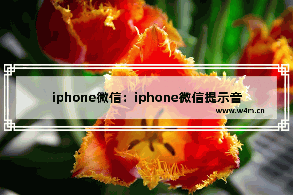 iphone微信：iphone微信提示音怎么关