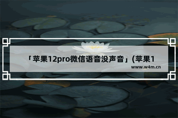 「苹果12pro微信语音没声音」(苹果12pro微信语音没声音怎么办)