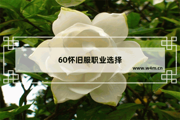 60怀旧服职业选择