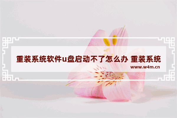 重装系统软件u盘启动不了怎么办 重装系统u盘启动失败的解决方法