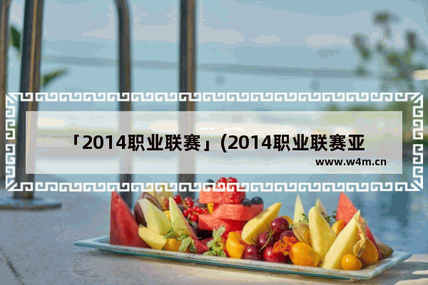 「2014职业联赛」(2014职业联赛亚索有几场)