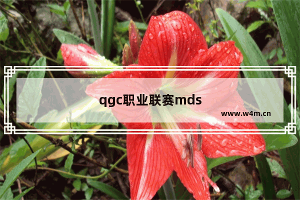 qgc职业联赛mds