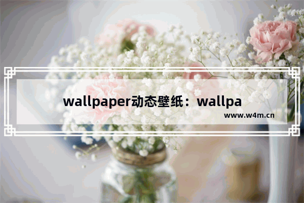 wallpaper动态壁纸：wallpaper动态壁纸怎么设置不动