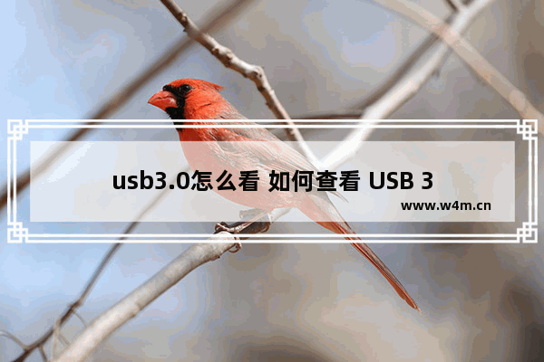 usb3.0怎么看 如何查看 USB 3.0？