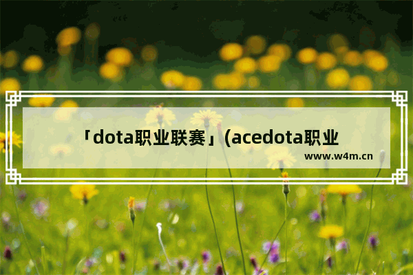 「dota职业联赛」(acedota职业联赛参赛)