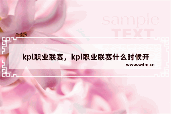 kpl职业联赛，kpl职业联赛什么时候开始的