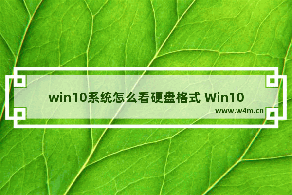 win10系统怎么看硬盘格式 Win10如何查看硬盘格式