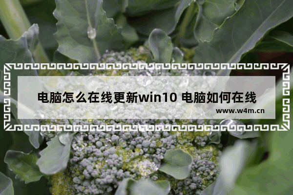 电脑怎么在线更新win10 电脑如何在线升级Win10