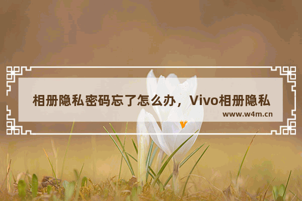 相册隐私密码忘了怎么办，Vivo相册隐私密码忘了怎么办