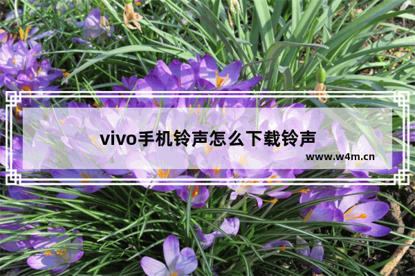 vivo手机铃声怎么下载铃声