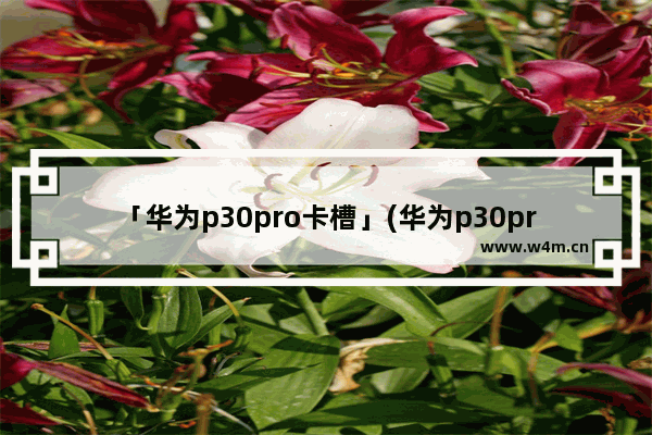 「华为p30pro卡槽」(华为p30pro卡槽在哪里图片)