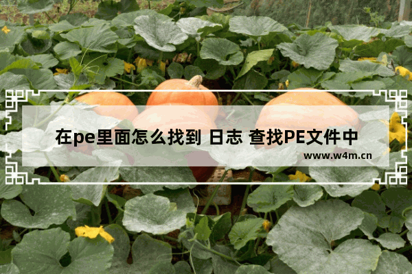 在pe里面怎么找到 日志 查找PE文件中的日志记录