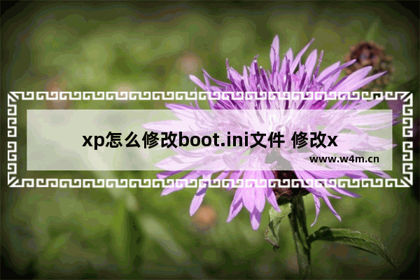 xp怎么修改boot.ini文件 修改xp的boot.ini文件方法