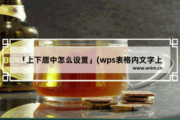 「上下居中怎么设置」(wps表格内文字上下居中怎么设置)