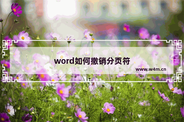 word如何撤销分页符