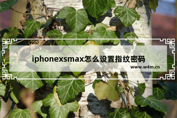 iphonexsmax怎么设置指纹密码