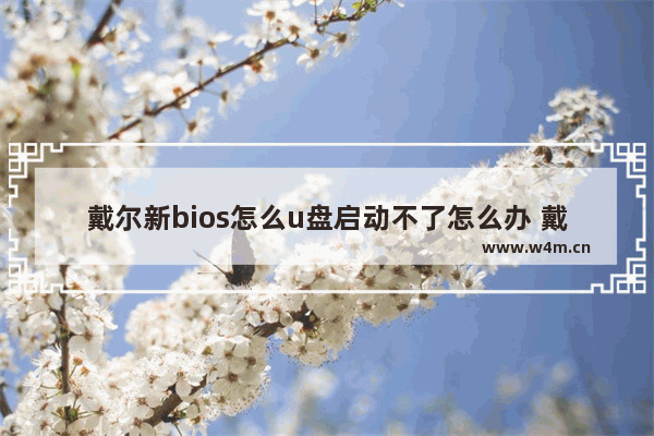 戴尔新bios怎么u盘启动不了怎么办 戴尔电脑bios无法从U盘启动解决方法