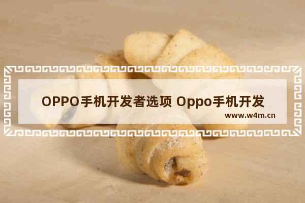 OPPO手机开发者选项 Oppo手机开发者选项在哪里