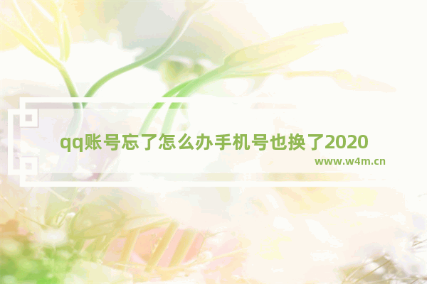 qq账号忘了怎么办手机号也换了2020