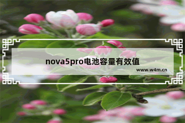 nova5pro电池容量有效值