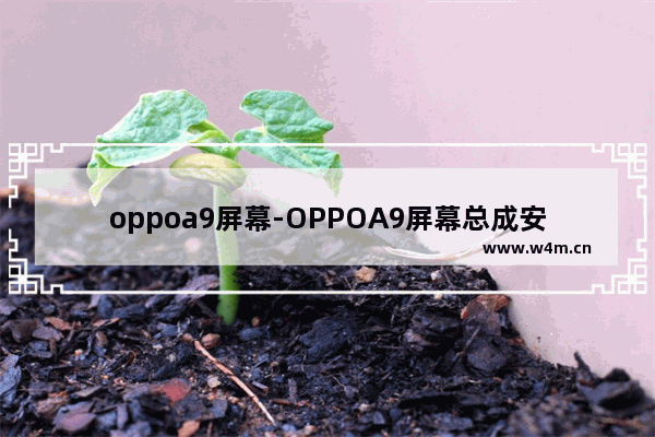 oppoa9屏幕-OPPOA9屏幕总成安装