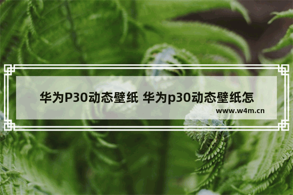 华为P30动态壁纸 华为p30动态壁纸怎么设置成自己的视频