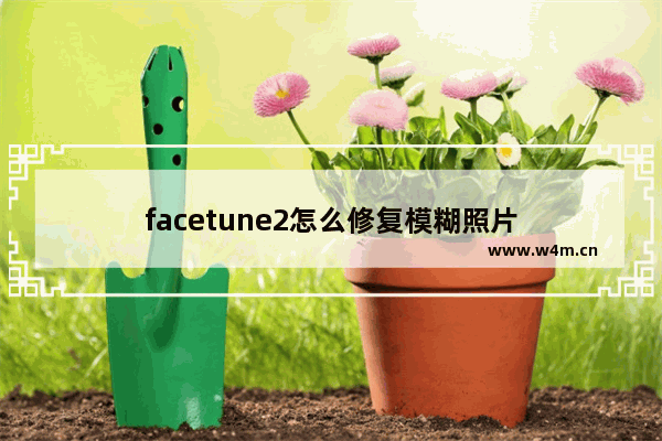 facetune2怎么修复模糊照片