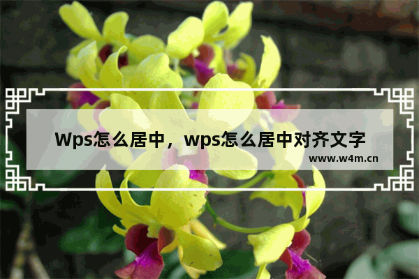 Wps怎么居中，wps怎么居中对齐文字