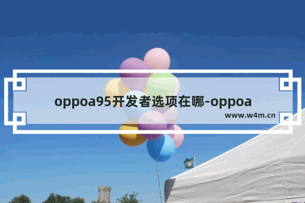 oppoa95开发者选项在哪-oppoa95开发者选项在哪里