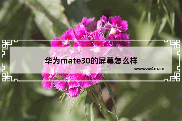 华为mate30的屏幕怎么样