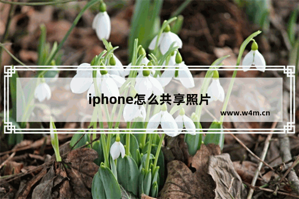 iphone怎么共享照片