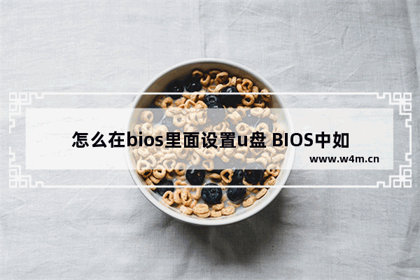 怎么在bios里面设置u盘 BIOS中如何调整U盘启动顺序