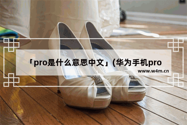 「pro是什么意思中文」(华为手机pro是什么意思中文)