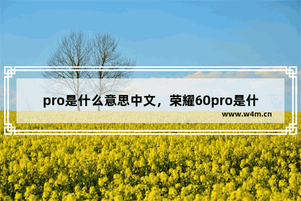 pro是什么意思中文，荣耀60pro是什么意思中文