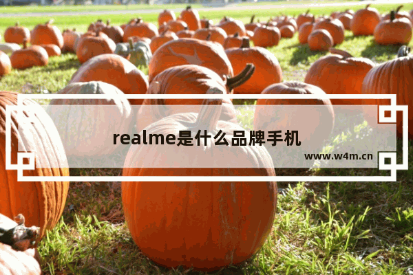 realme是什么品牌手机