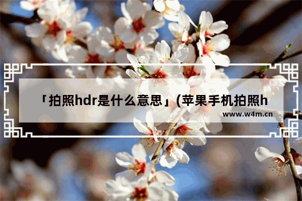 「拍照hdr是什么意思」(苹果手机拍照hdr是什么意思怎么开)