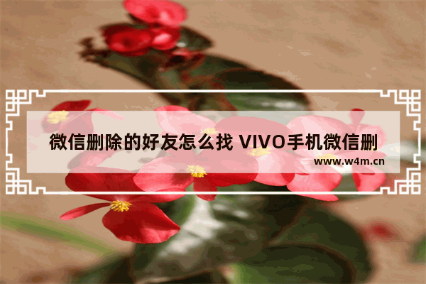 微信删除的好友怎么找 VIVO手机微信删除的好友怎么找回