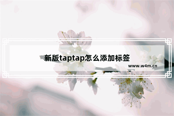 新版taptap怎么添加标签