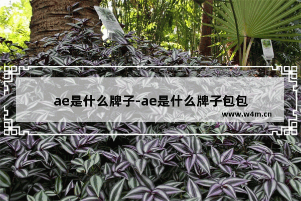 ae是什么牌子-ae是什么牌子包包