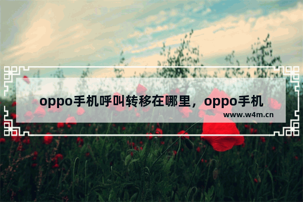 oppo手机呼叫转移在哪里，oppo手机呼叫转移在哪里设置方法