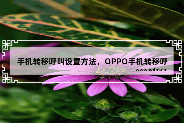 手机转移呼叫设置方法，OPPO手机转移呼叫设置方法