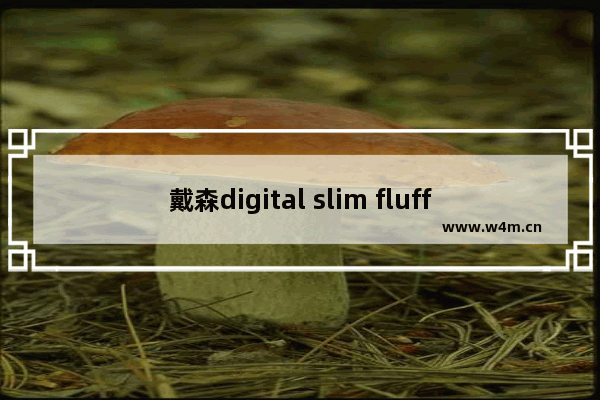 戴森digital slim fluffy和v11区别