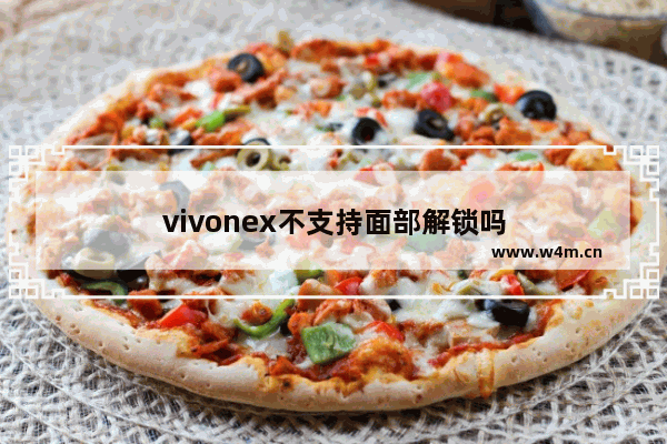 vivonex不支持面部解锁吗