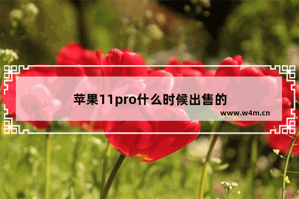 苹果11pro什么时候出售的